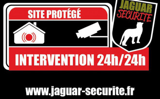 Jaguar_securite.jpg