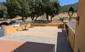 PXL_20250624_140523223.jpg